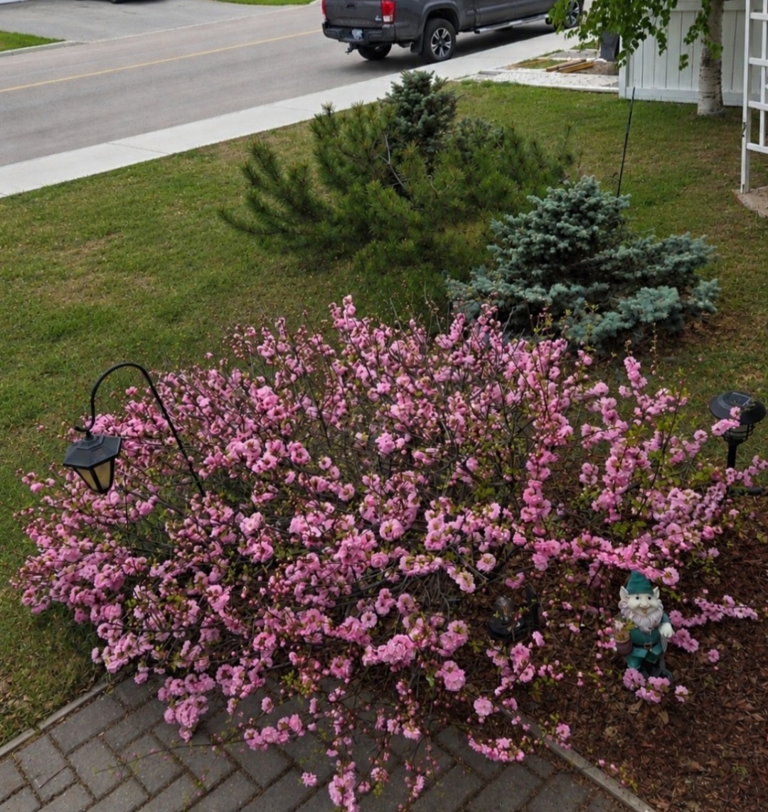 Timeless French Country Charm & Private Yard and Energy Efficienc 3