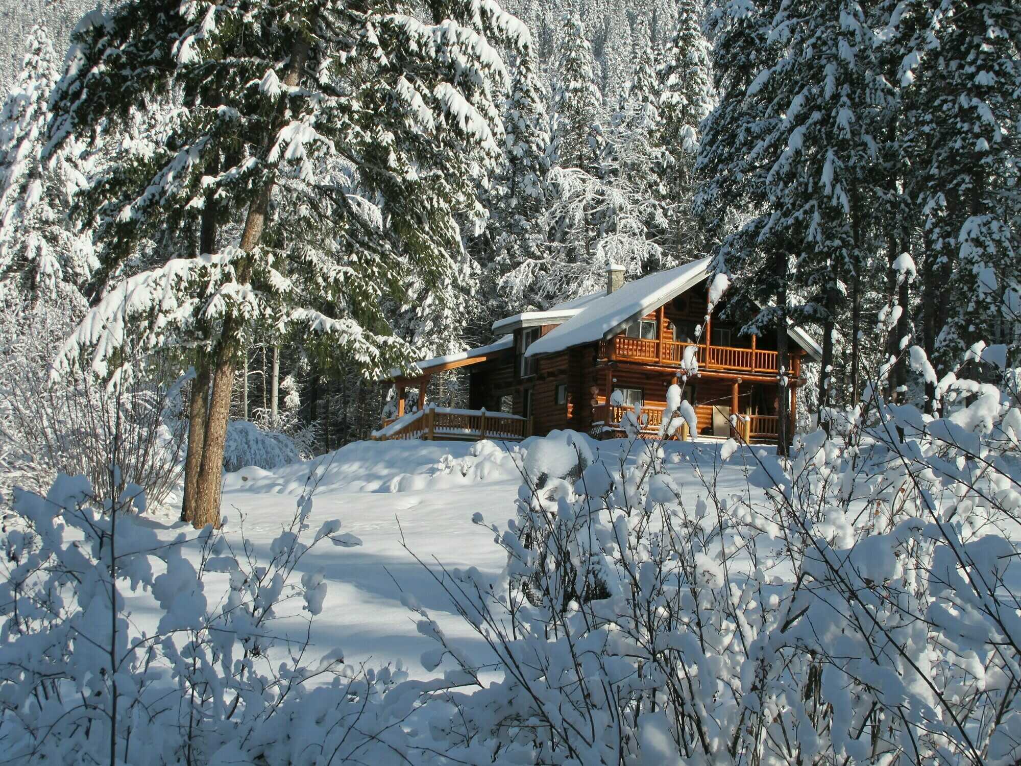 Magical Rustic Log Cabin provides Turnkey Short-Term Rental Investment with Expansion Potential on 4.2 Private Acres 5