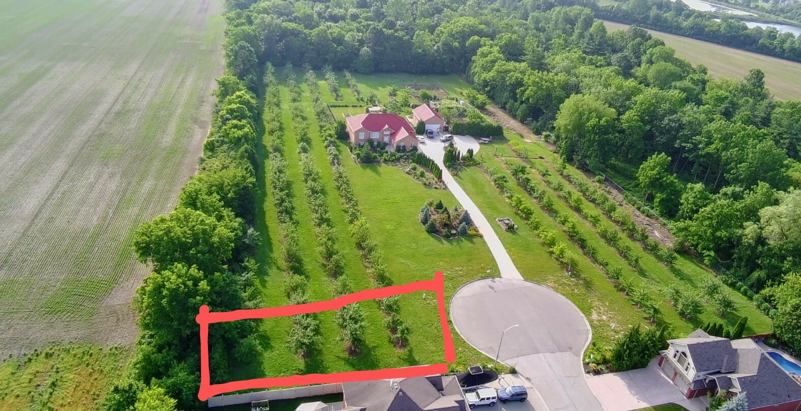 "Dream Lot Backing Onto Green Space & Orchard" 3