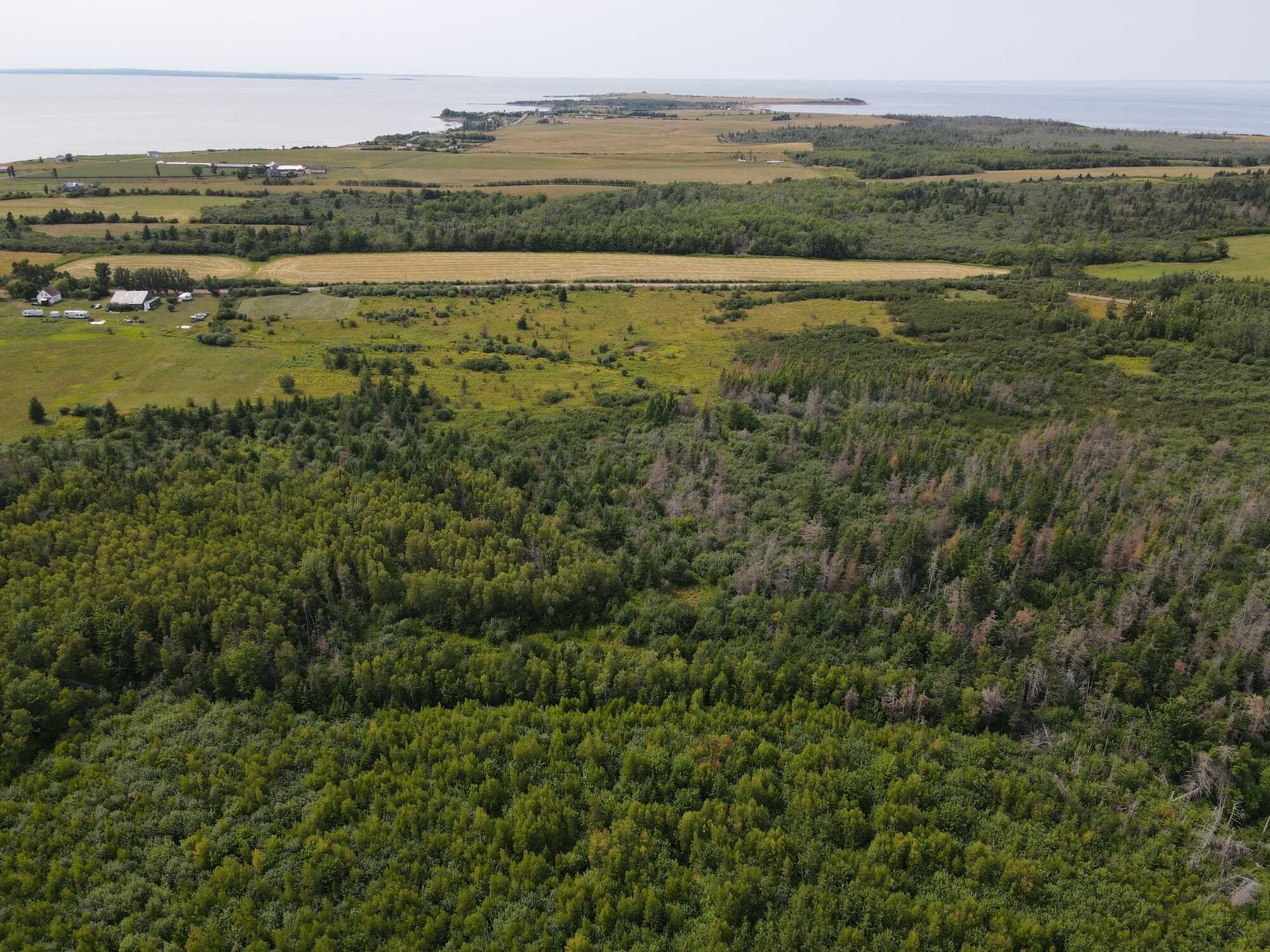 15 Acres in Beautiful Cape John! 4