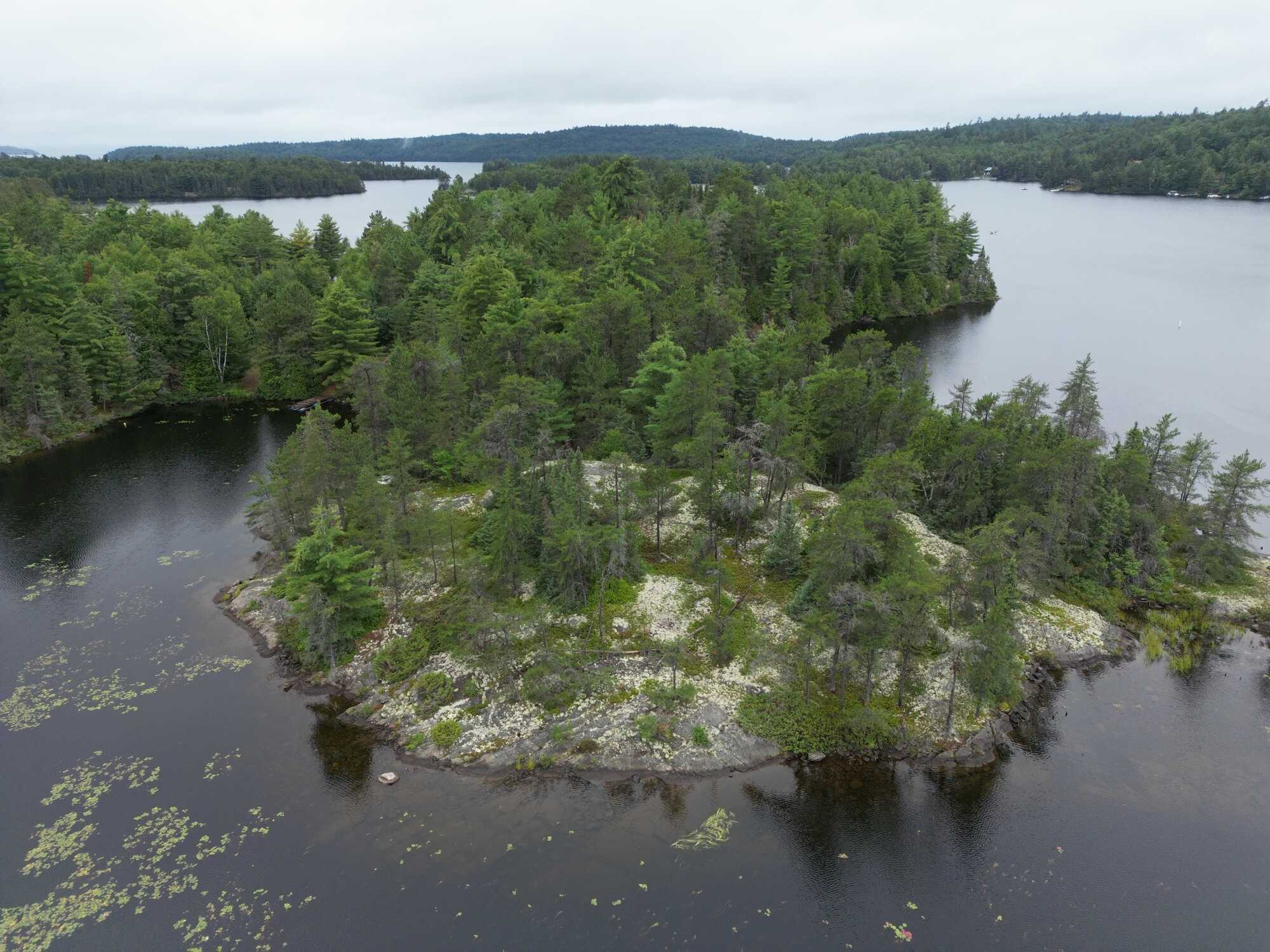 🌿 Tranquil Paradise Nestled on 1.78 Acres 🌿 2