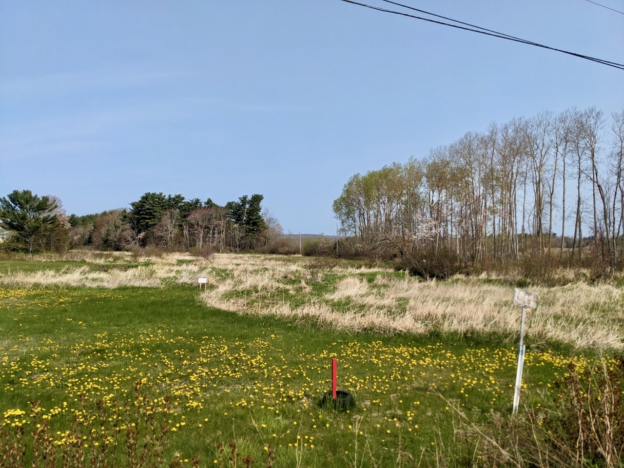 10 fertile acres of land near Berwick, on secluded, no exit, Dodge and Durling Road. 5