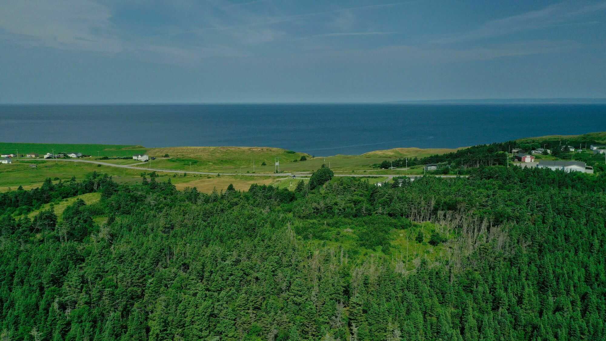 Stunning 88 acres of forested land with breathtaking ocean views...Build your dream home here! 2