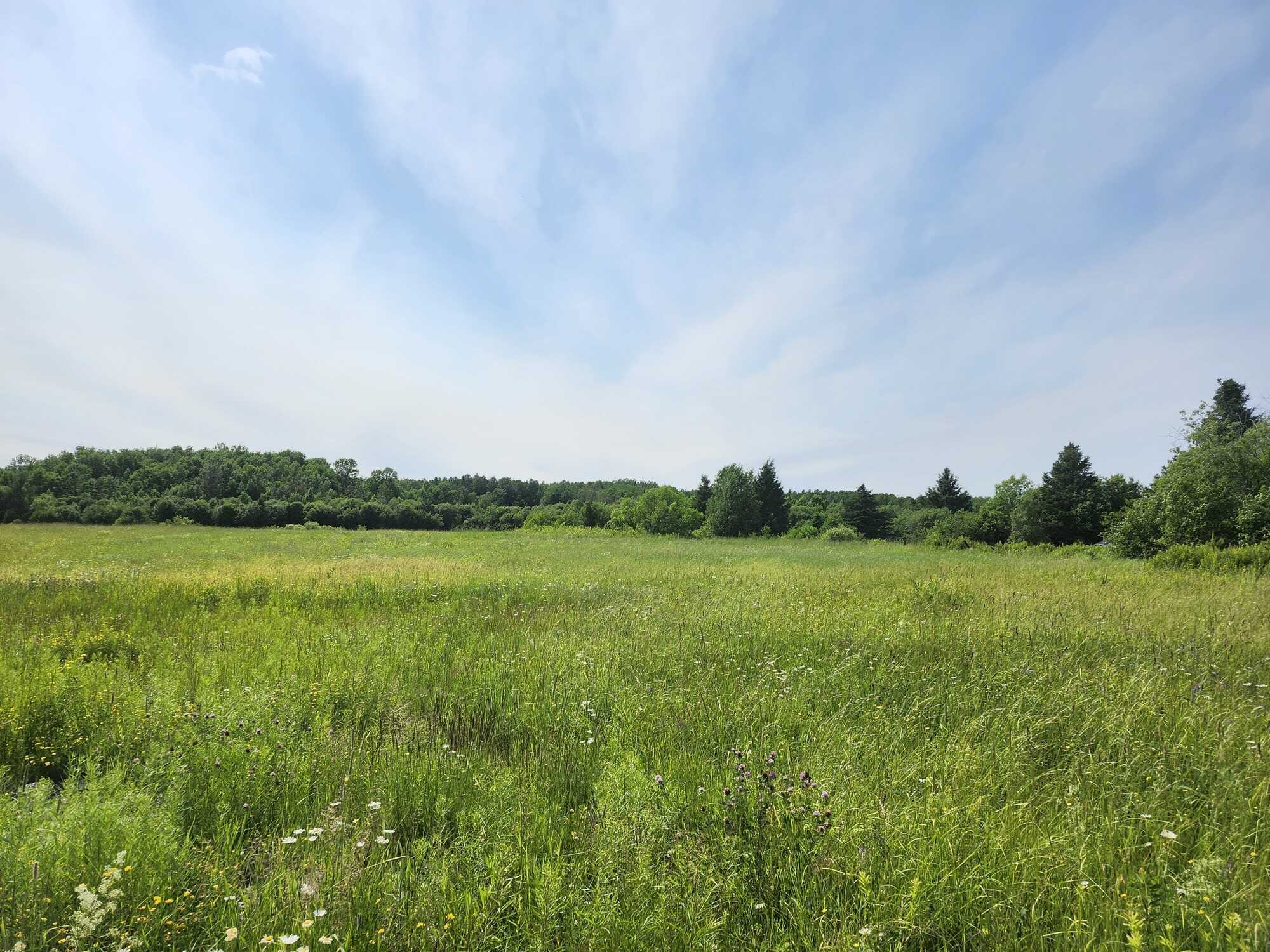 Build Your Dream Home on Nearly 20 Acres – 460 Casimir Road, St. Charles, Ontario 4