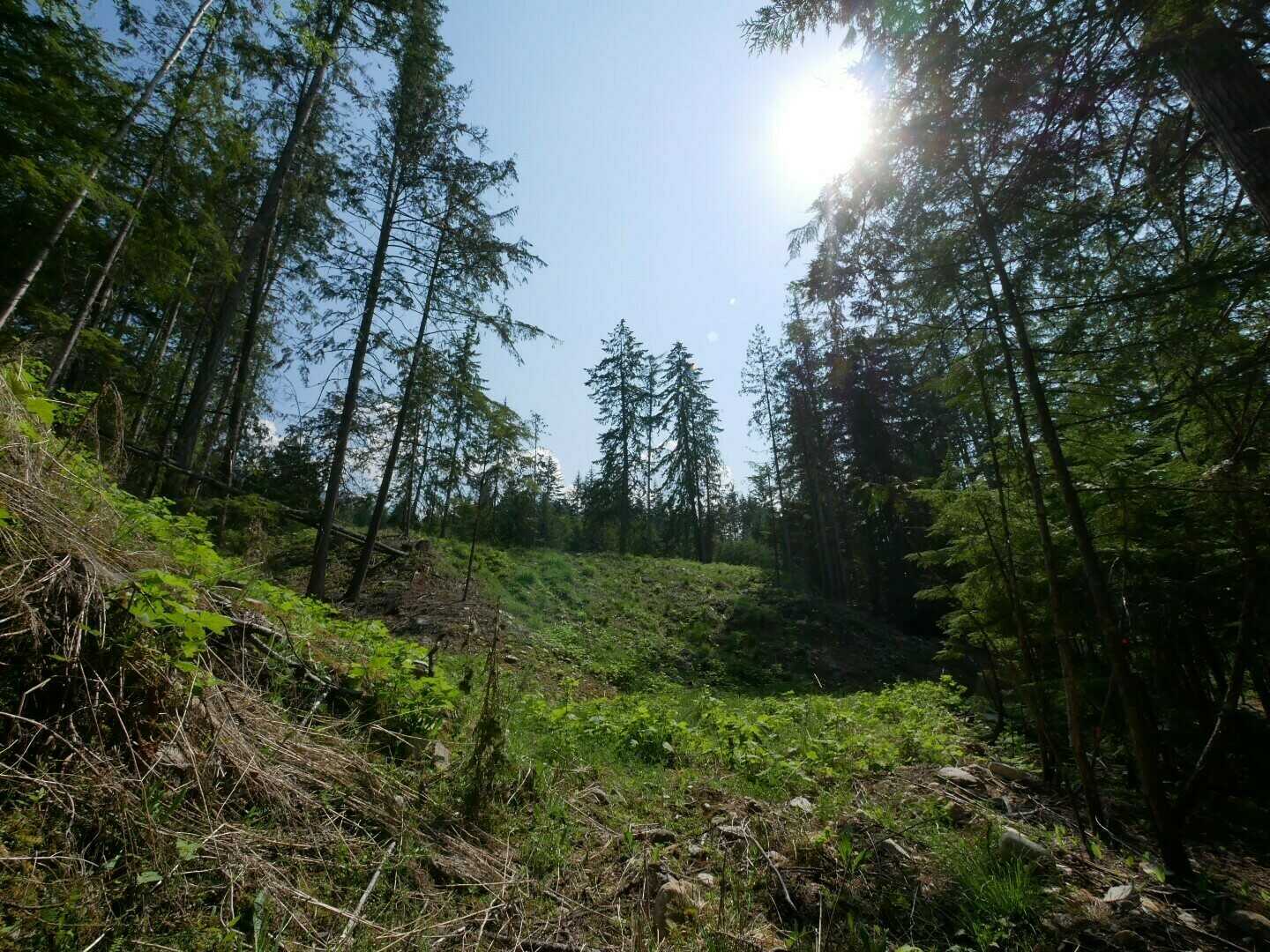 PROCTER!!  AMAZING VACANT LOT waiting for its new family!!  0.51 ACRES with EXCELLENT drilled well on site!  Awesome valley & mountain views with potential of a lake view! 5