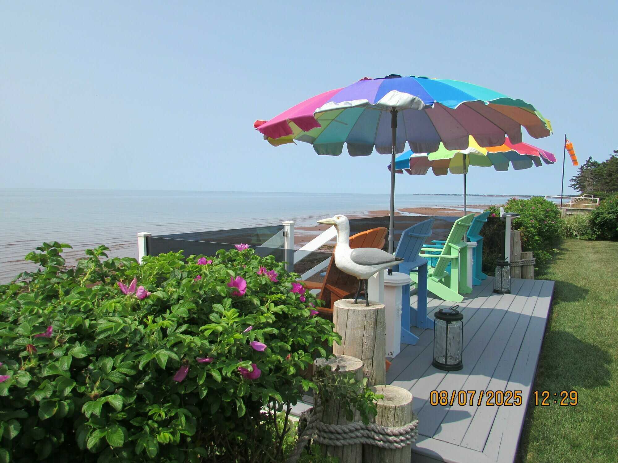 ‘Water /Beach front property’ Muttart’s Shore - North Carleton, Prince Edward Island 3
