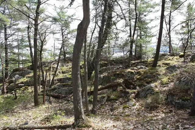 Killarney Waterfront Georgian Bay 5