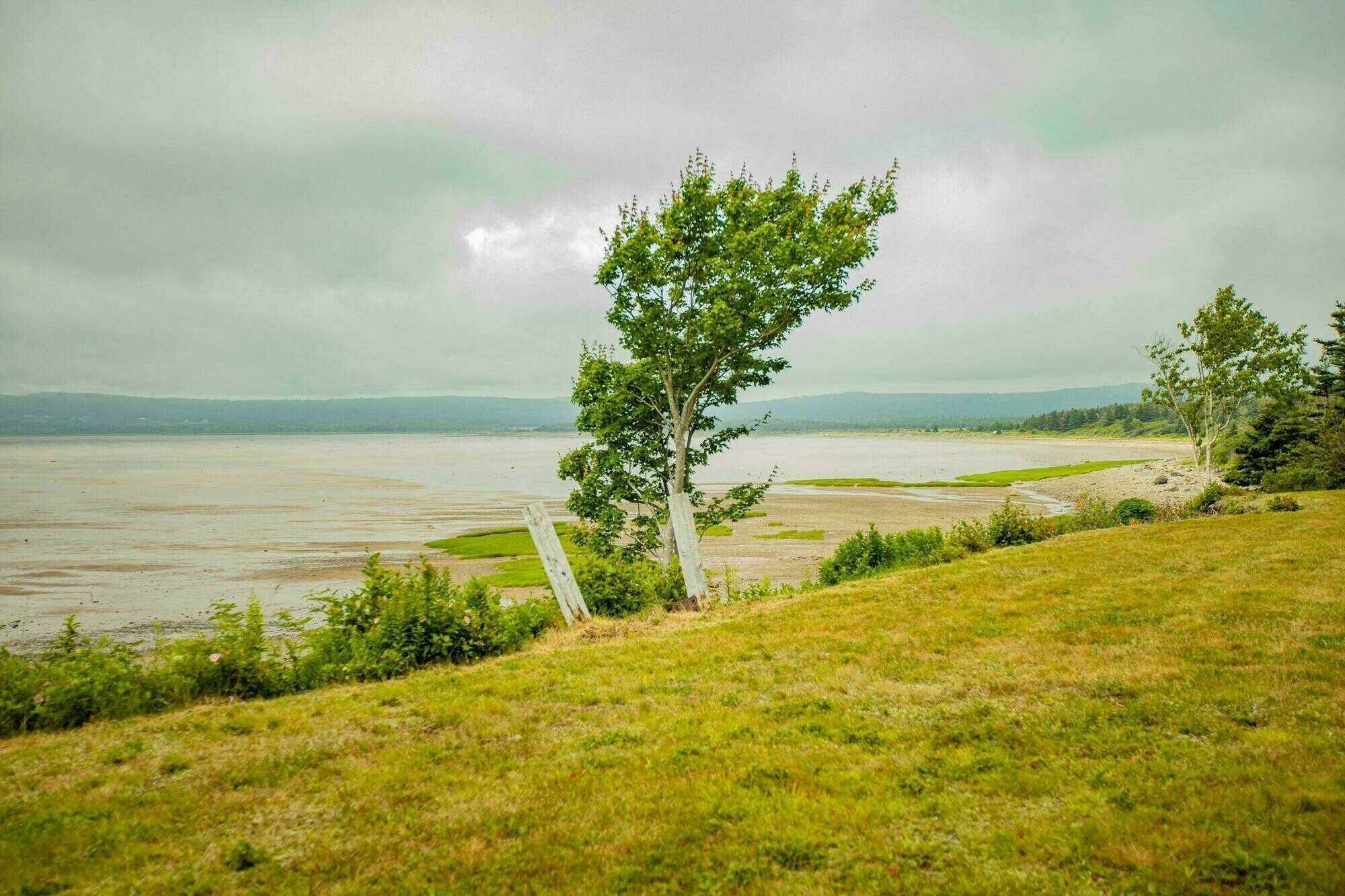 Oceanfront Home on St. Mary's Bay - 8965 Highway 101, Brighton, Digby County NS | 2 Bed, 1.5 Bath, 1.36 Acres with Direct Ocean Frontage | Eagle & Birdwatching Paradise, 15 Min to Digby 4