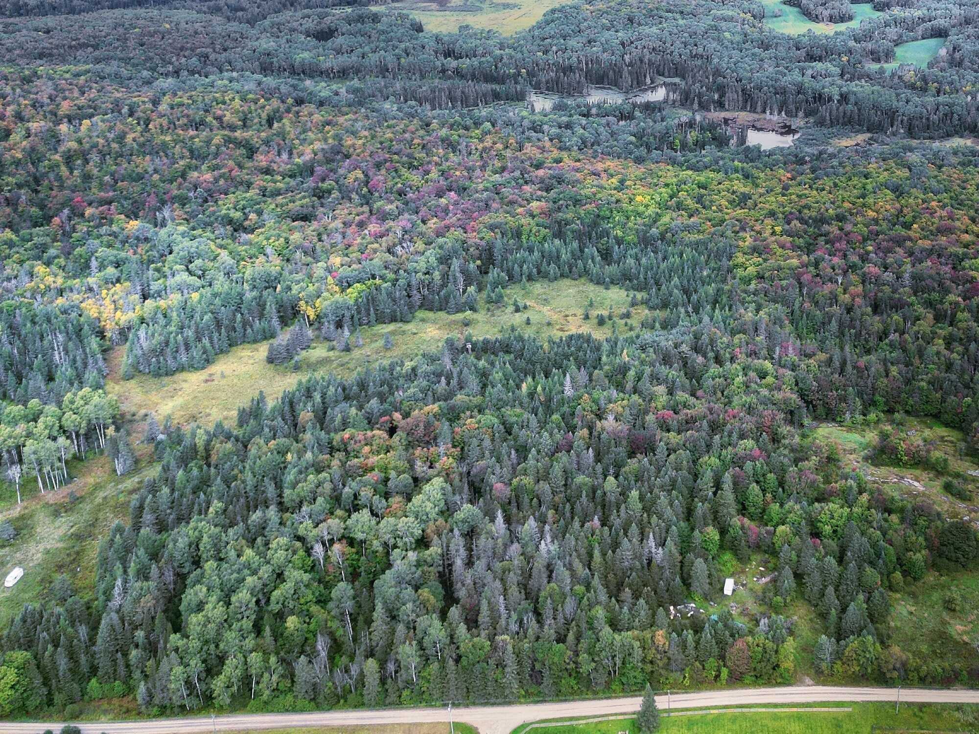 Lot 1 of 3 Prime Building Lots.
Nestled in the tranquil landscape of Burks Falls, Ontario, these three prime building lots offer a unique opportunity to create your dream home in a picturesque setting. 4