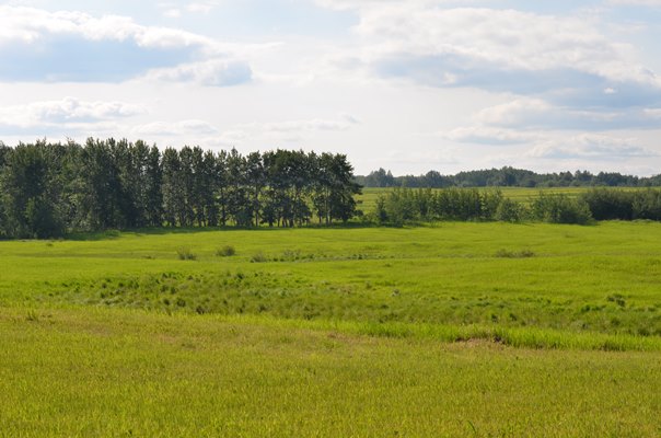 Foxfire Glen Lot 5 block 2, Rimbey 2
