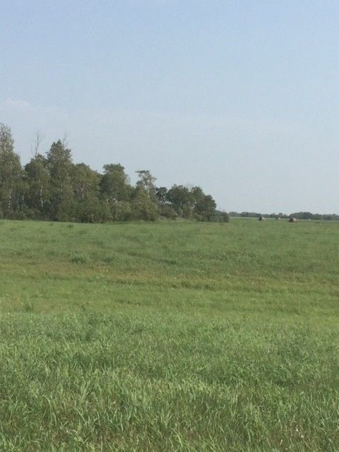 SW-36-26-22-W 160 128, Gilbert Plains 5
