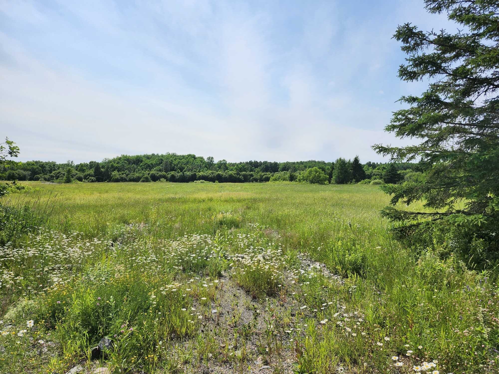 Build Your Dream Home on Nearly 20 Acres – 460 Casimir Road, St. Charles, Ontario 2