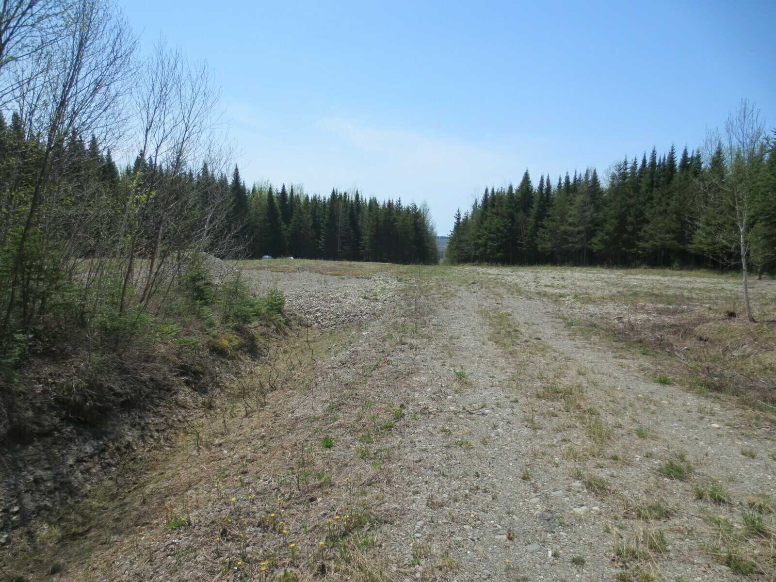Prime commercial land In Saint-Leonard,NB with close access to RT #2, #17,#144 2