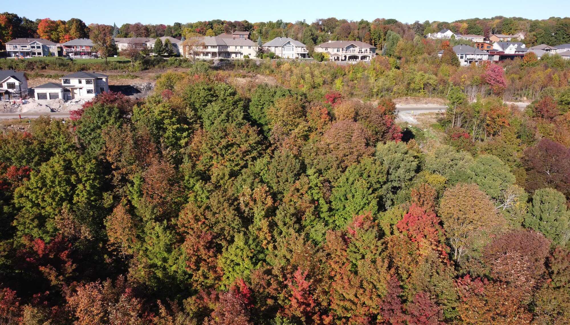 Vacant Lot on Laurentian Escarpment with Spectacular View is Ready for Your Dream Home 4