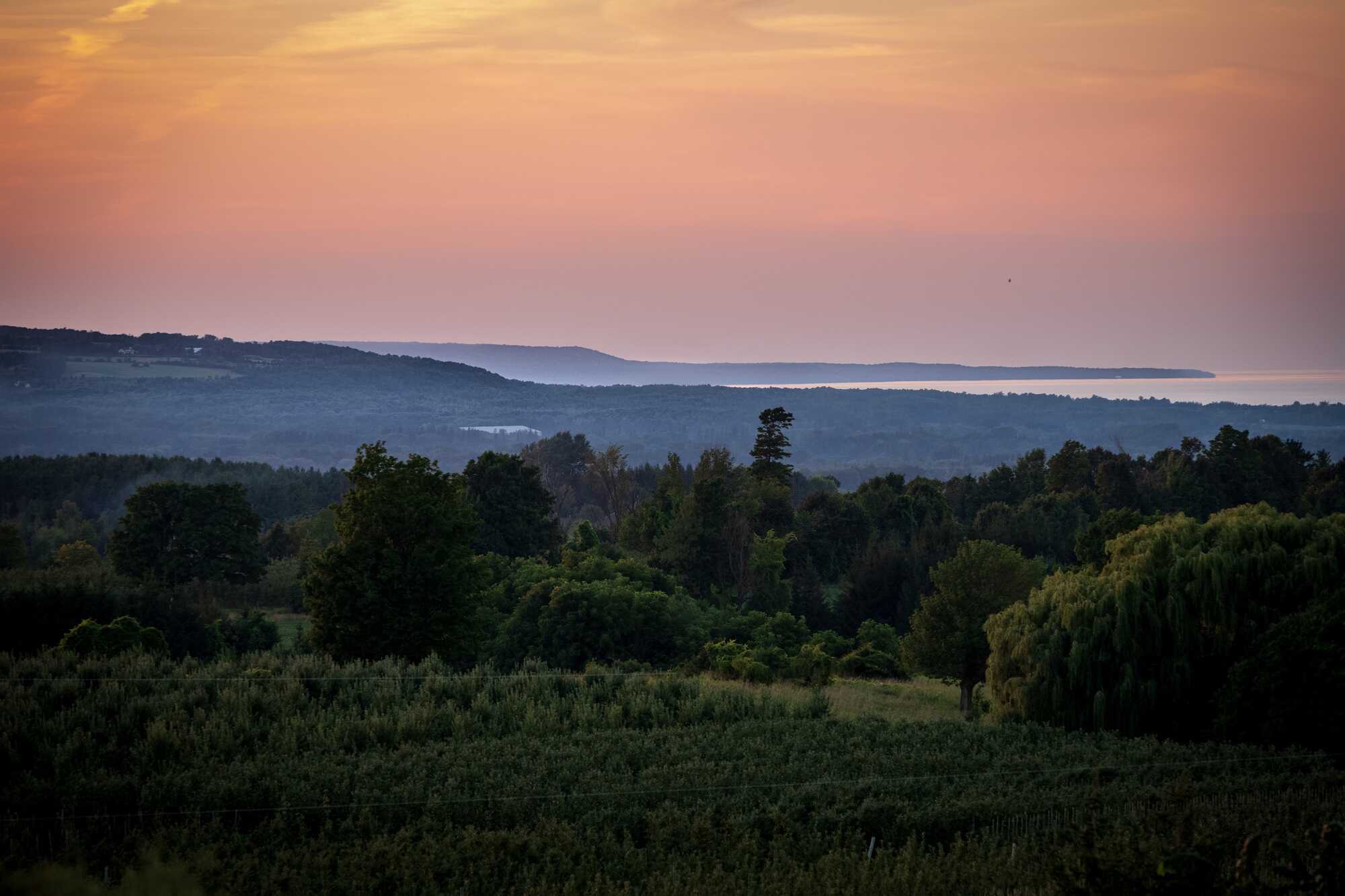 Explore Endless Possibilities on this 92 Acre Property With Unbelievable Views. 4