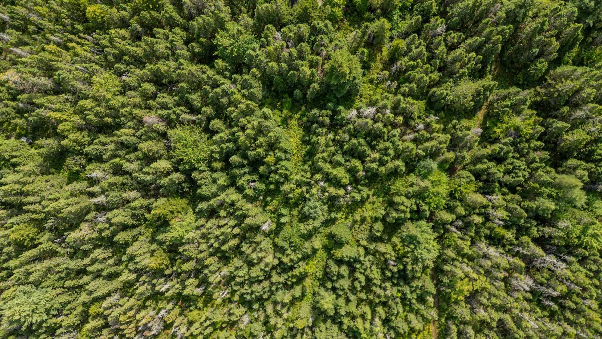 📍 285 Huey Lake Road, Lunenburg County, NS
🌊 7.34 acres | 2 PIDs | Beaches & Ferry minutes away 5