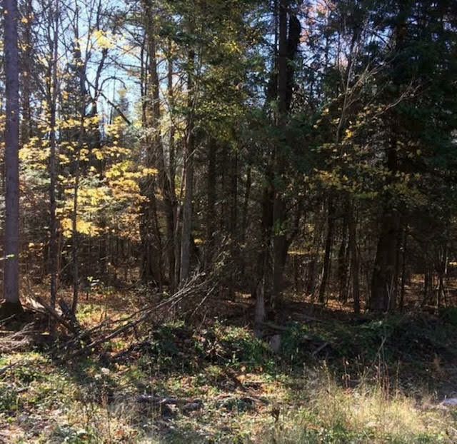 26 Acres of Opportunity in the Heart of the Ottawa Valley Close to the Madawaska River. 2