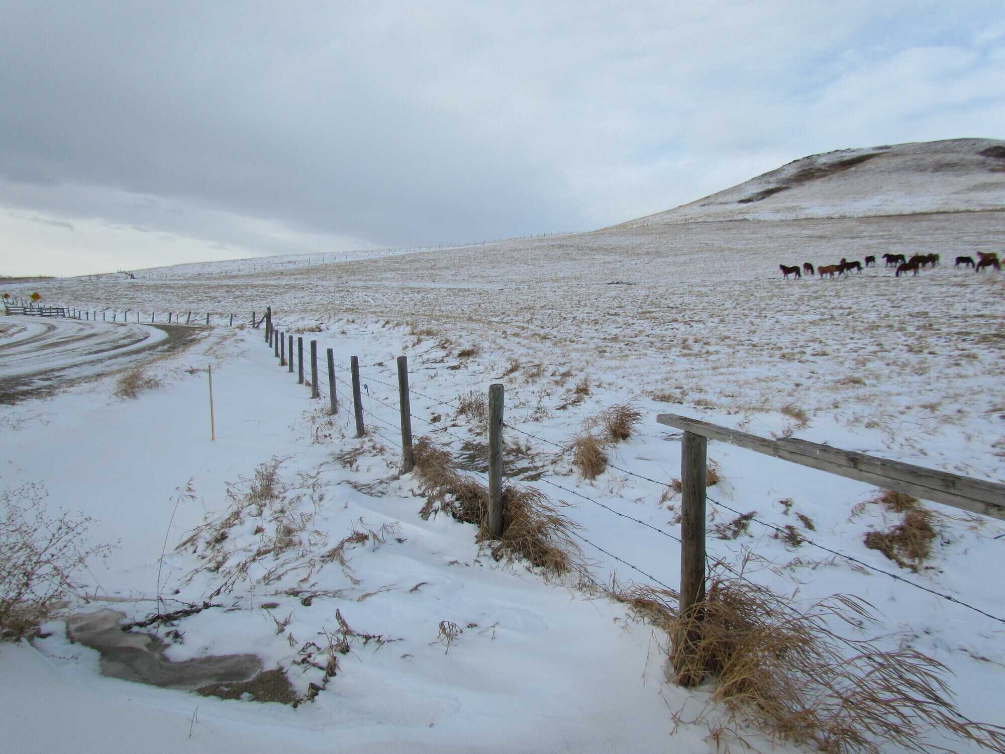 Acreage in the Porcupine Hills 5