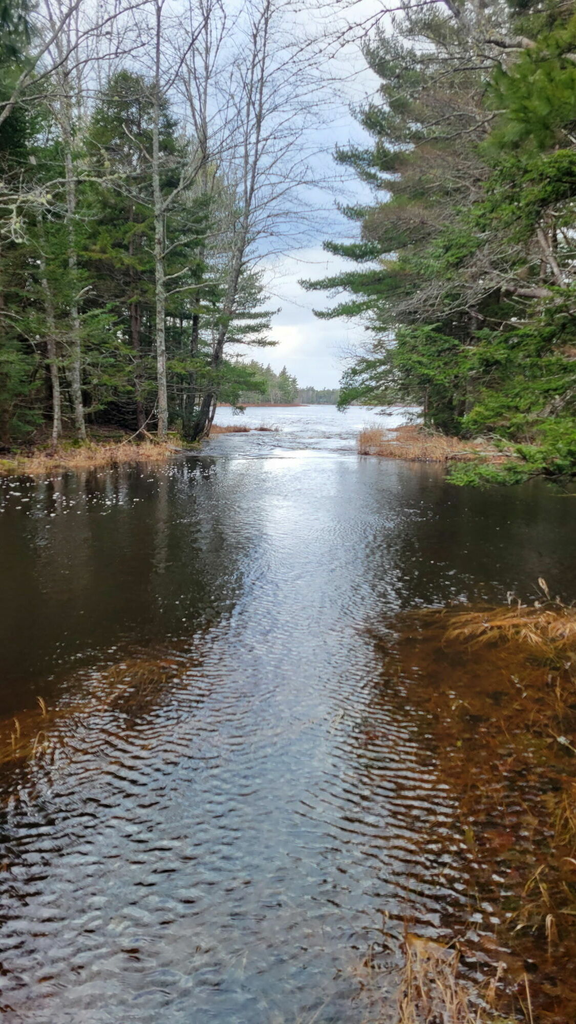 8.9 Acres of Peace and Tranquility in Cottage Country 2