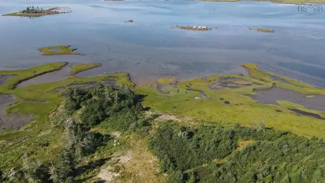 Vacant Oceanfront Land FOR SALE 5