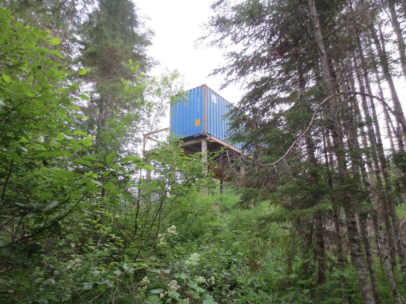 BOGAN BROOK RUNS  through this 46.5 ACRE WOODED piece of land 3