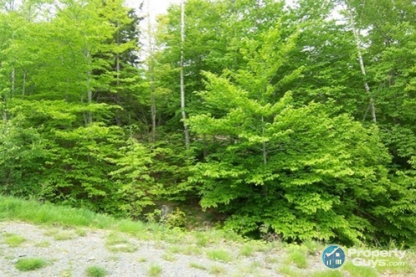 Riverview Road, Bear River 3
