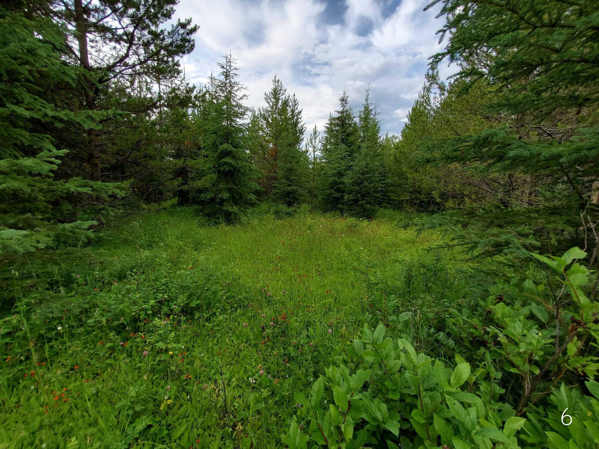 Stunning 5-Acre Property in the Peaceful 10 Mile Lake Area Near Quesnel, BC 5