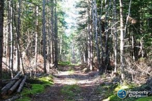 Malagash Rd., Malagash 3