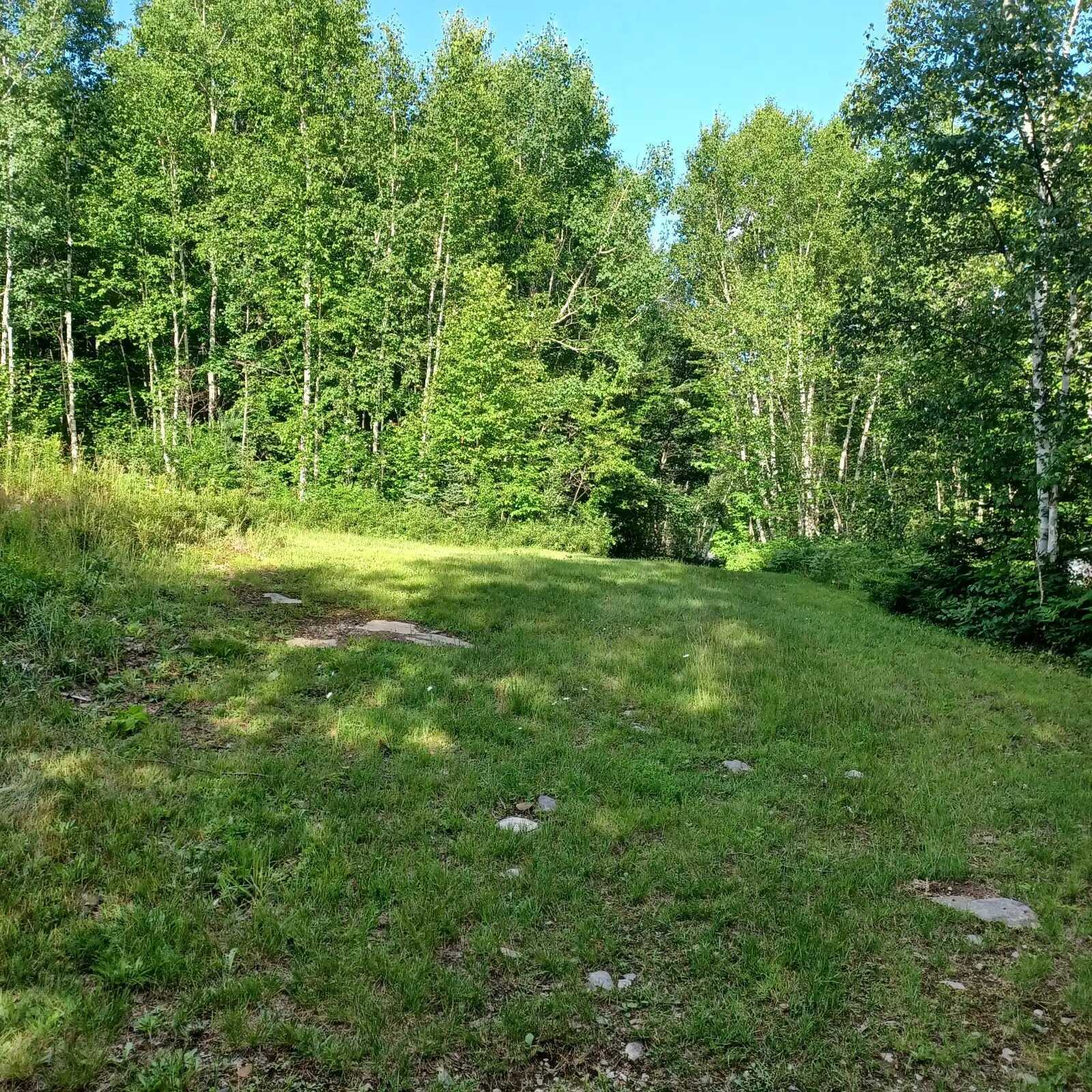 9 Acres For Sale on Paddy Lake Road 5