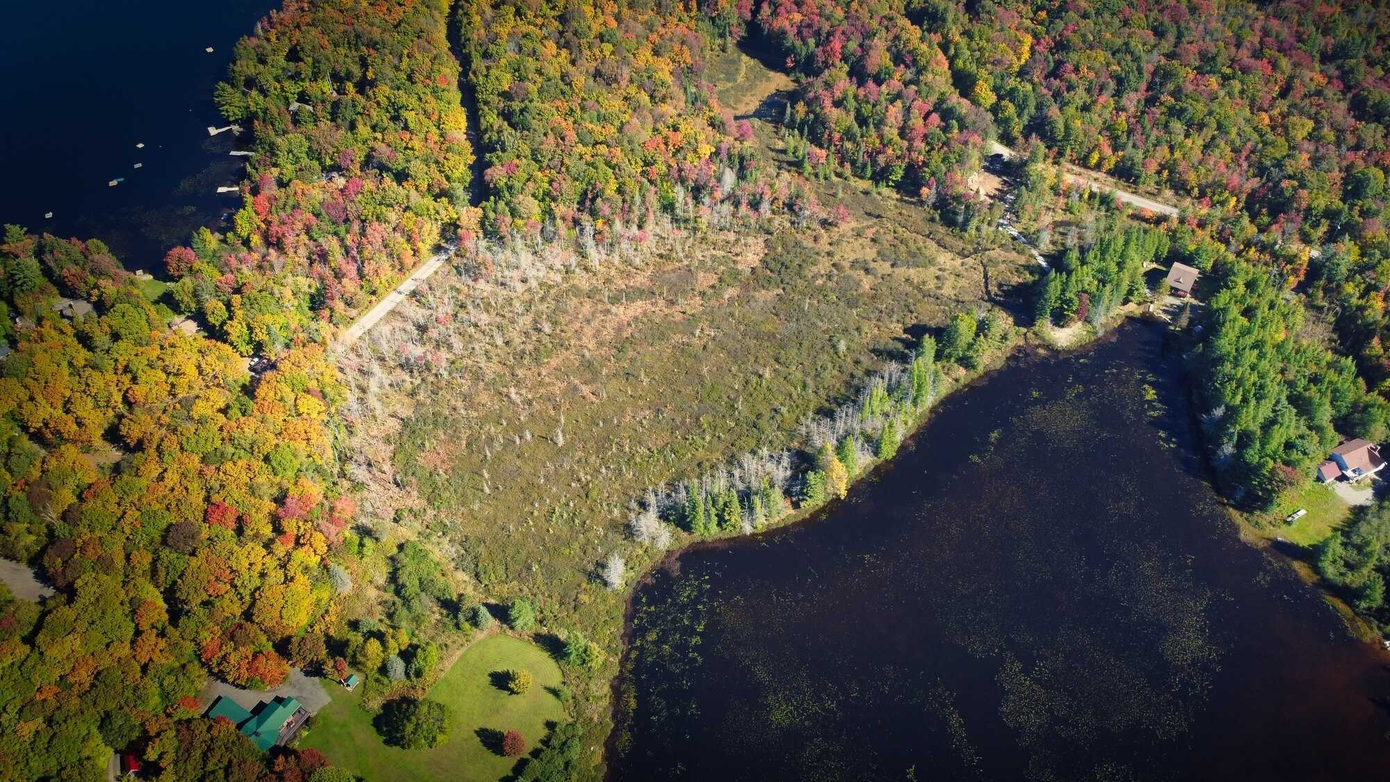 Muskoka Waterfront property on Healey Lake. Captivating view, 641.77 ft. of shoreline & 2.72 acres. This private lot is the perfect location to build your dream home. Level building parcel cleared, trail with 2 bridges lead to a waterfront landing. 4
