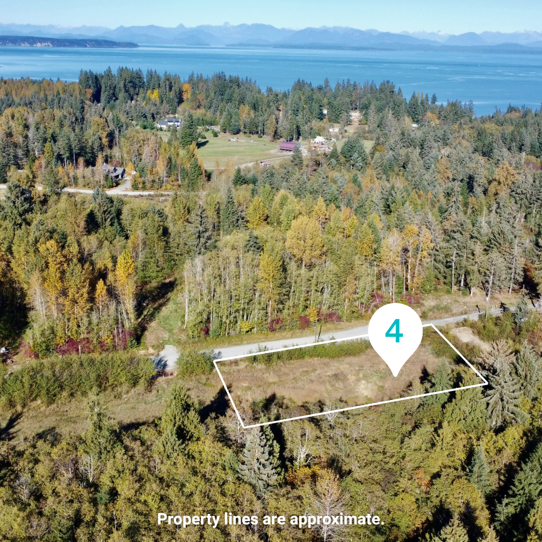 Endless Possibilities on 1.2 Acres in Campbell River 2