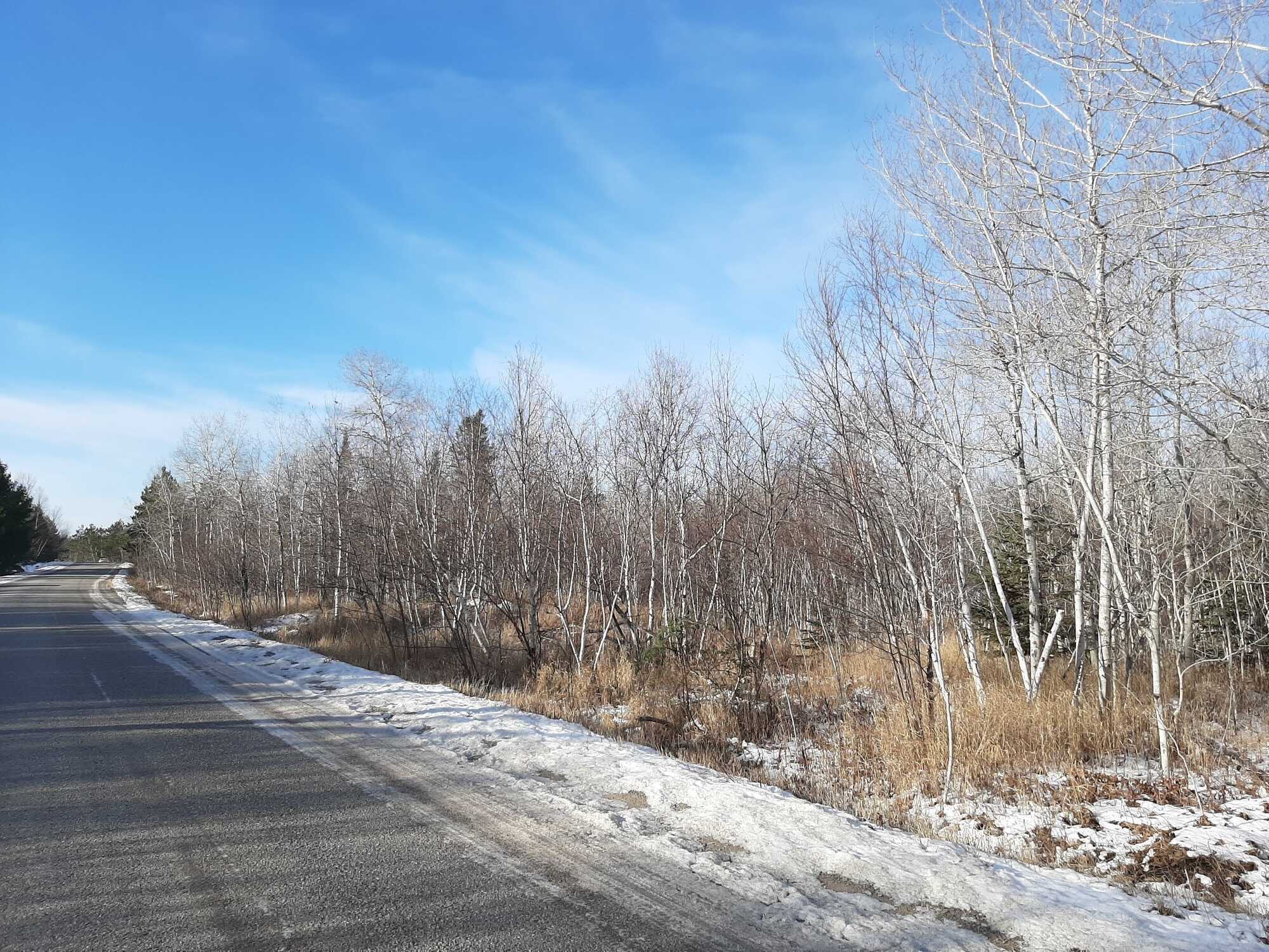 Moxam Landing Road - 6.44 Acres 3