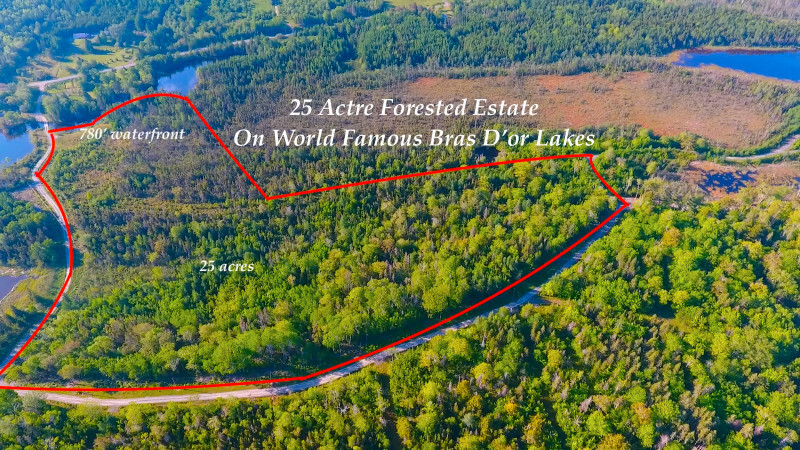 780' protected waterfront on the Salt water Bras D'or lakes, 25 forested acres 3