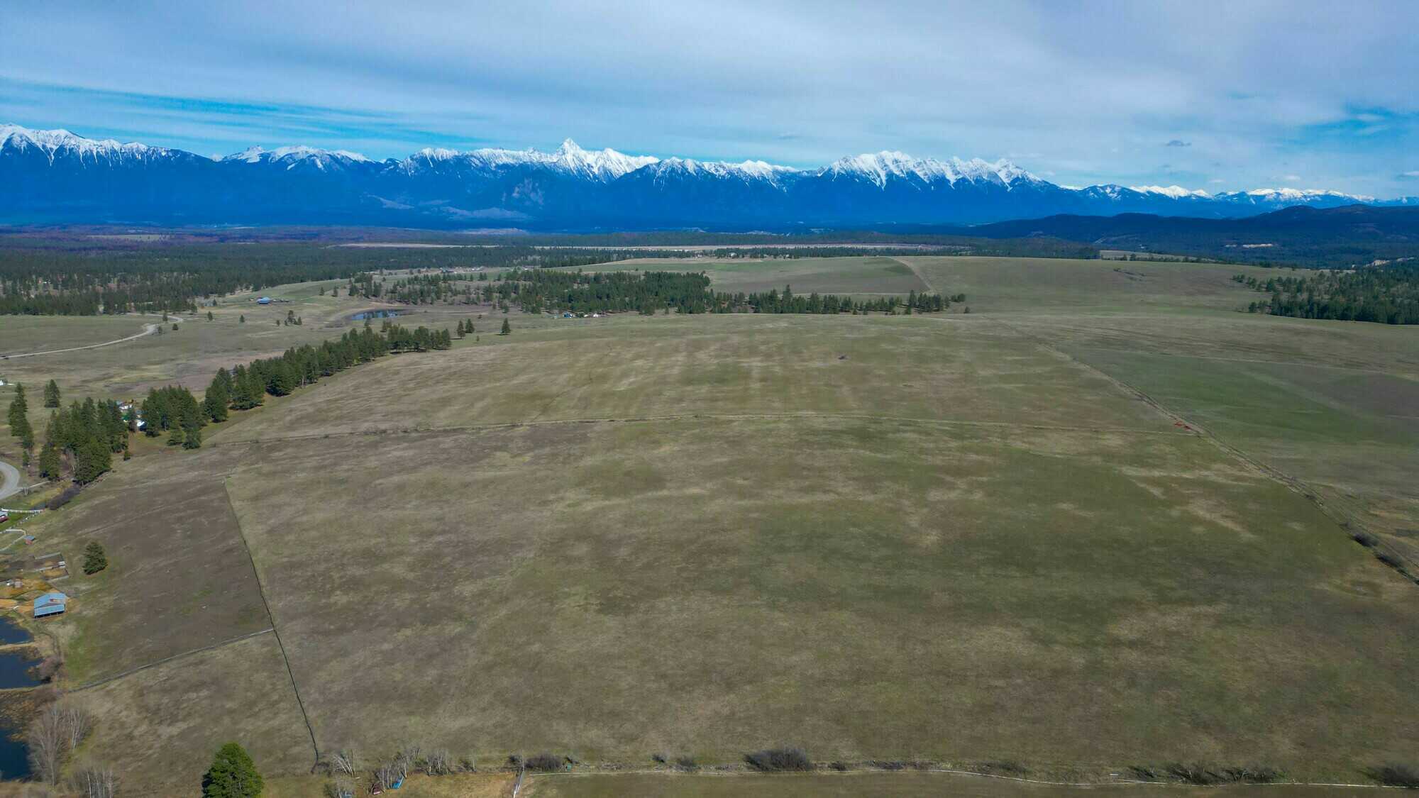 Acreage Between Kimberley and Cranbrook Beckons with Boundless Potential 3