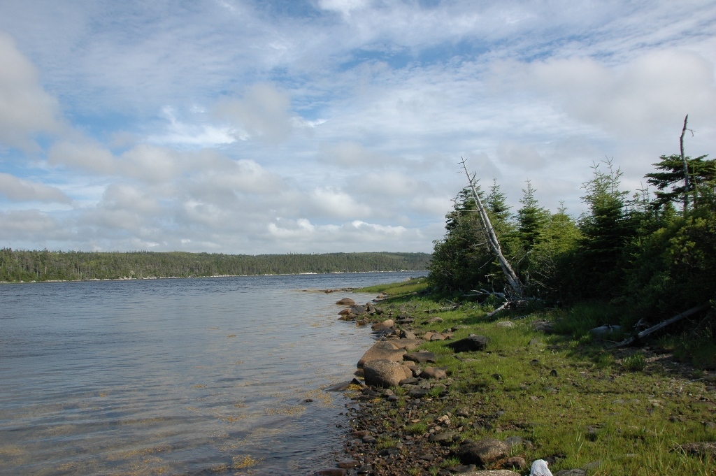 Gorgeous plots of land right by the water in Upper Whitehead 3