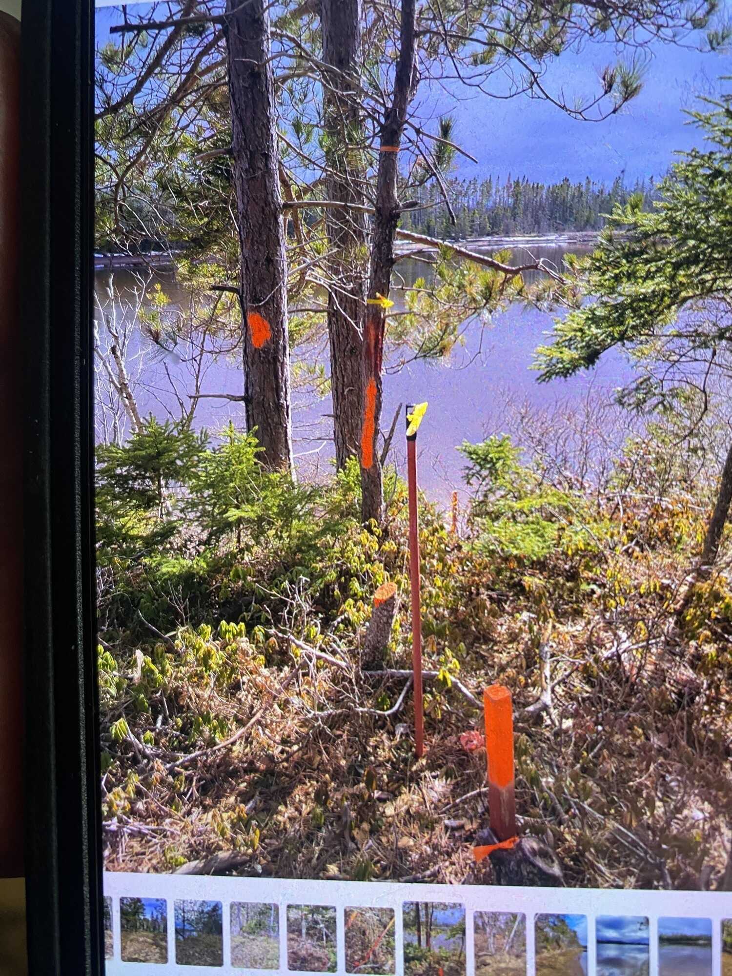 Almost 16 acres with over 2500 feet of water frontage! 3