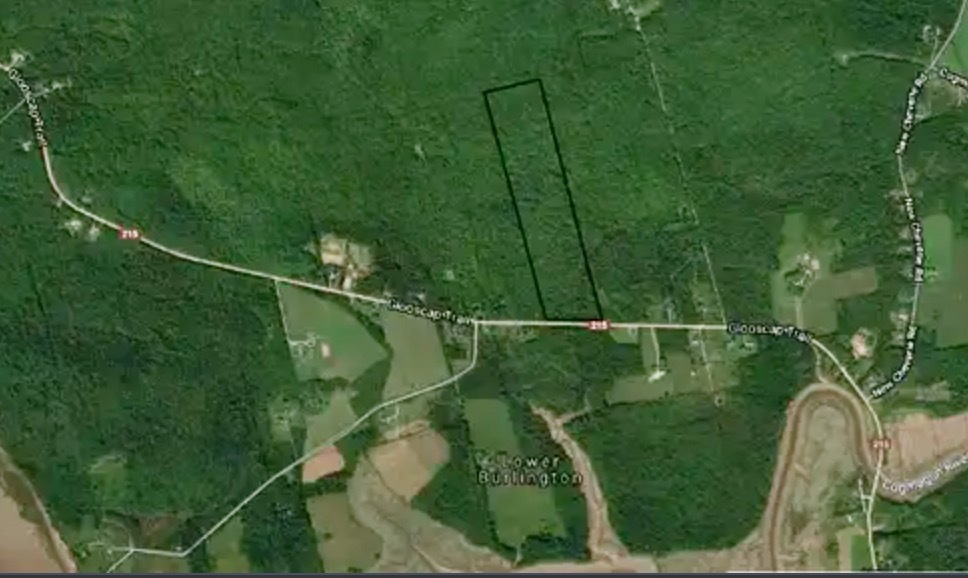 Rare 30 acre wooded lot on on Route 215, in beautiful Lower Burlington, West Hants - build your dream home with privacy, wildlife, and lifetime supply of firewood 2