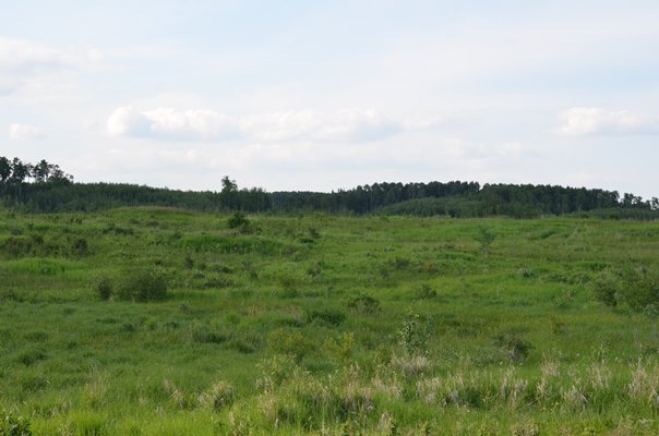 Foxfire Glen Lot 5 Block 3, Rimbey 4