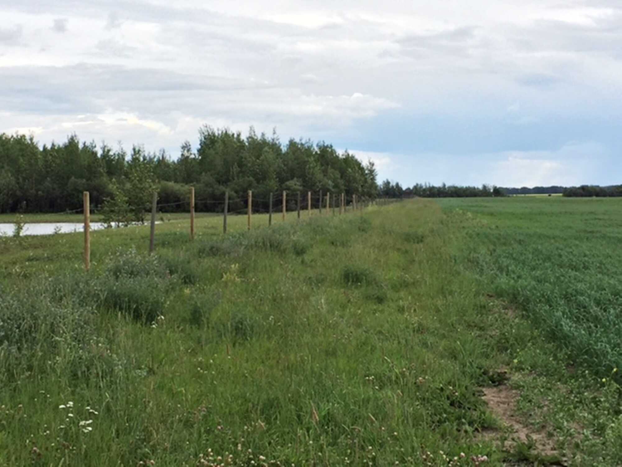 Township Rd 782 Range Rd 90, Spirit River 4