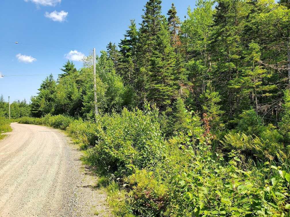Chalet Hamlet / Cottage Lots / Country Home Lots / RV Sites. Two adjacent forested building lots on quiet road located in Vaughan, N.S. Total of 6.05 acres, with access to Armstrong Lake within the cottage development community of Chalet Hamlet. 3
