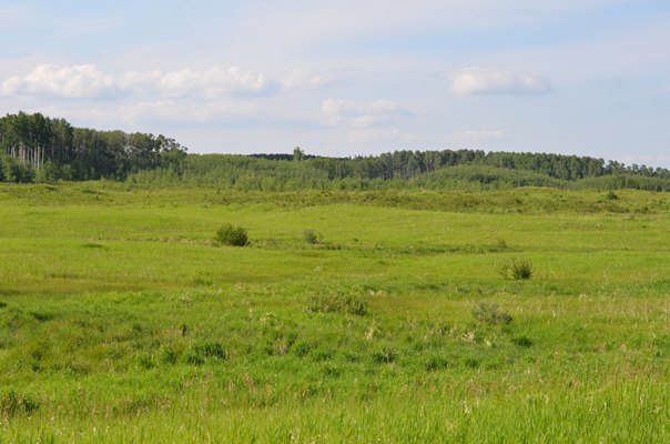 Foxfire Glen Lot 5 block 2, Rimbey 4