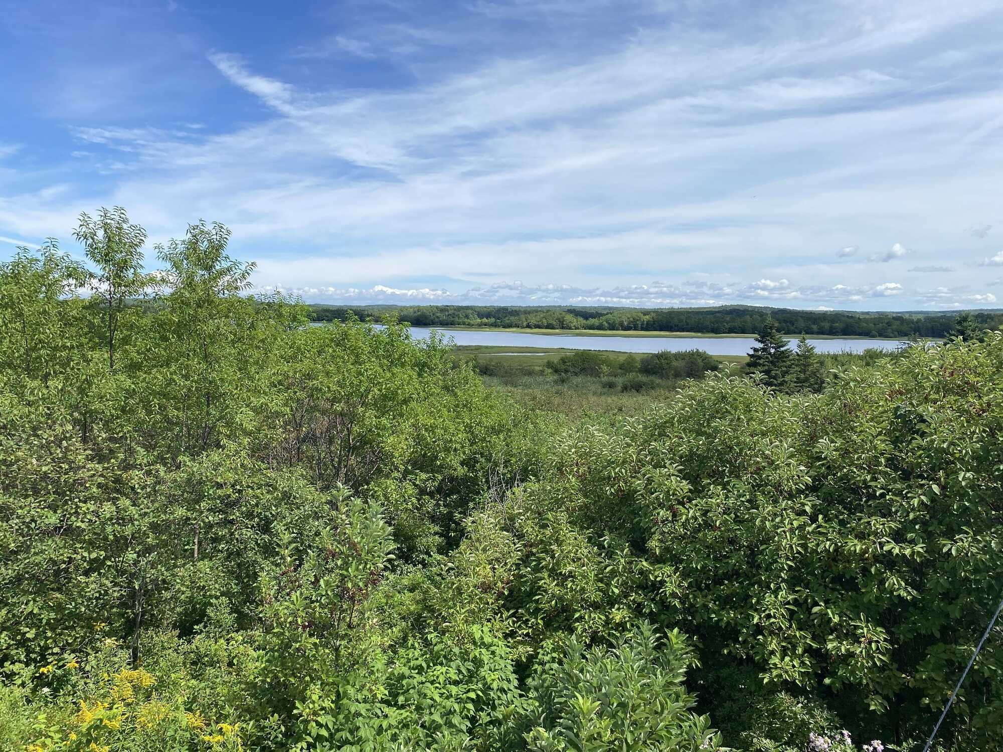 Waterfront lot in Pomquet! 2