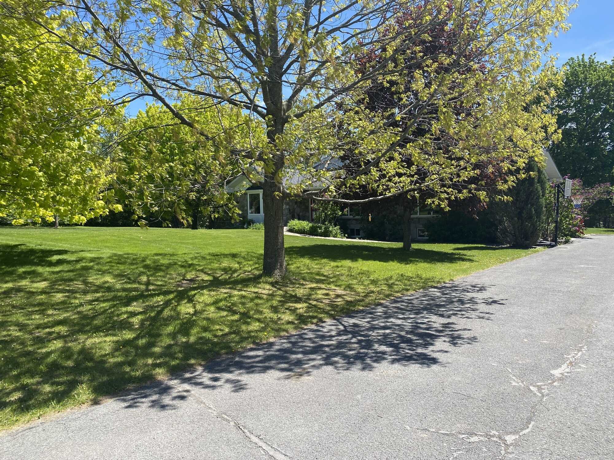 HIGH INCOME PROPERTY. $1500 to $3800 Per NIGHT. UNIQUE BUSINESS AND LIFESTYLE OPPORTUNITY. SEMI RETIRE OR FULLY RETIRE BY PURCHASING ADDITIONAL CARETAKER COTTAGE NEXT DOOR 2