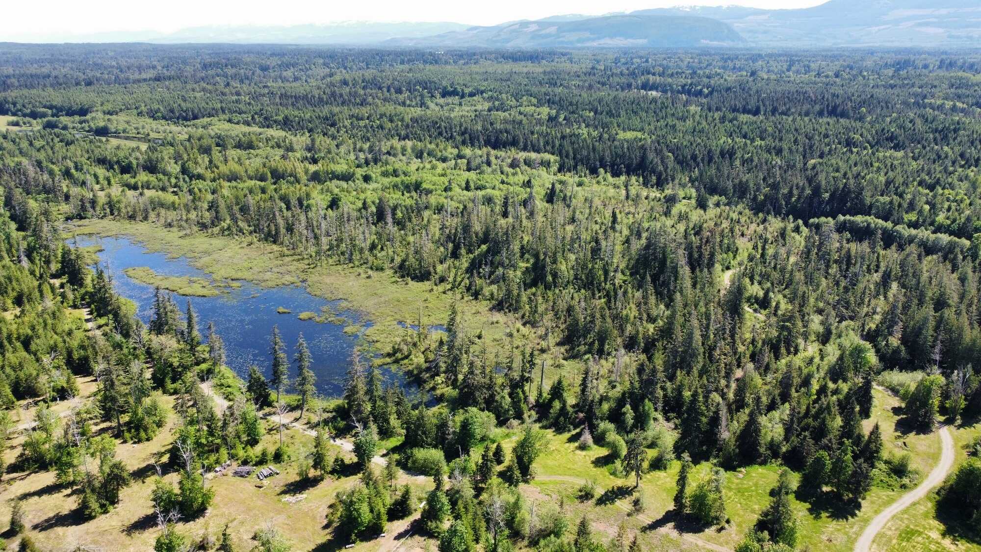 Dreaming of Your Own Fresh Air Country Living Paradise? 4