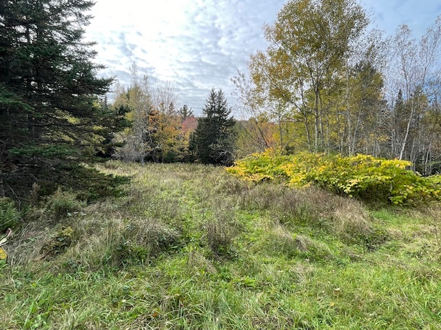Premium 1+ acre building lot on Bishopville Rd, just outside of Hantsport 3