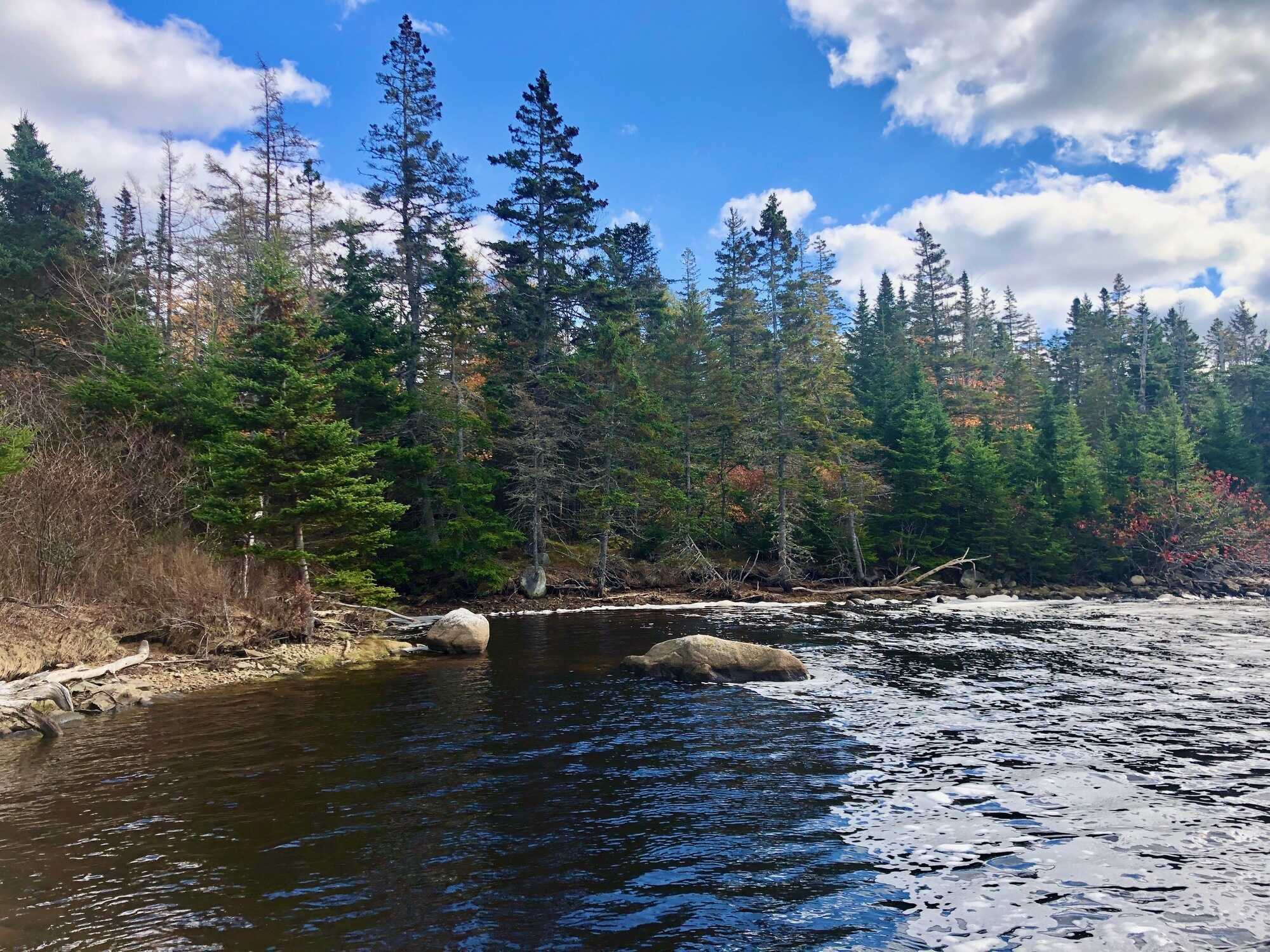 Inviting waterfront properties along the picturesque St. Mary's River 5