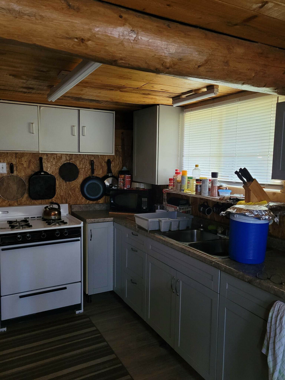 Grayling Lake Cabin 3