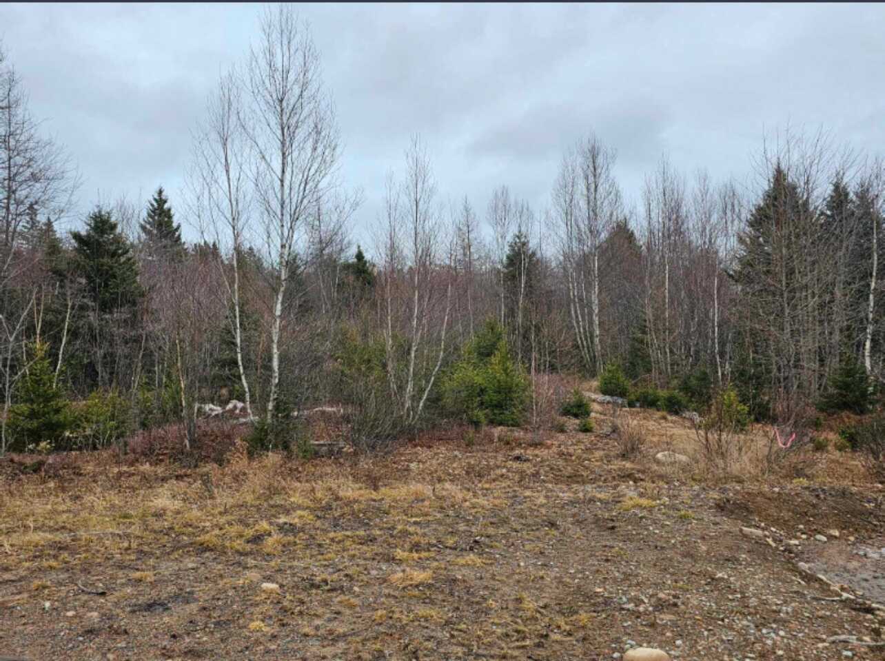 Land for sale 4