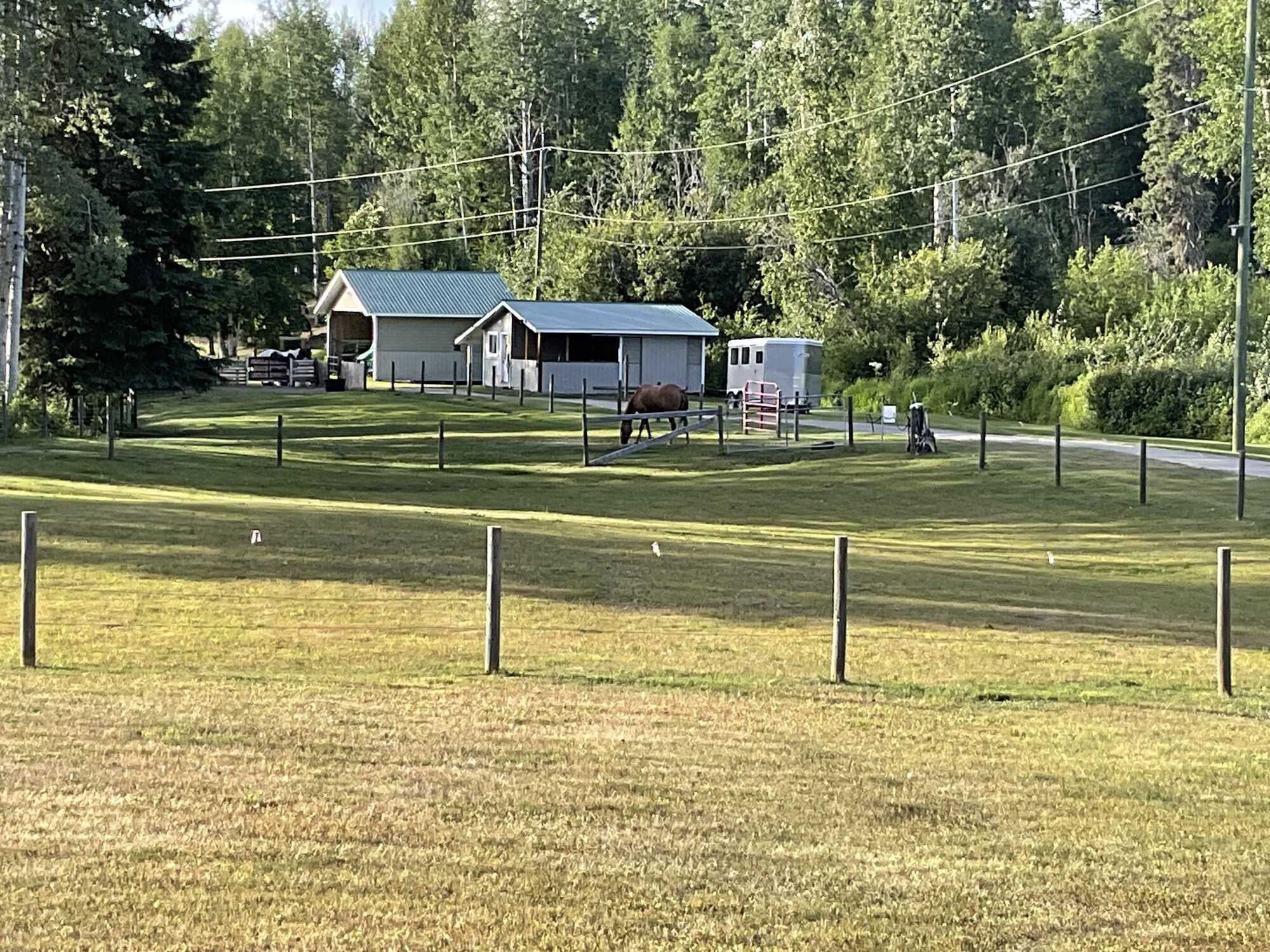 Riverfront Acreage on the Kispiox River 2