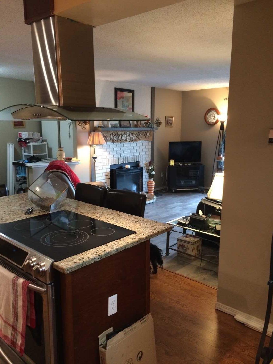 Open Concept Condo 2